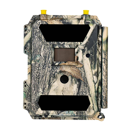 DORR FOTOTRAPPOLA 4G CLOUD CAMOUFLAGE